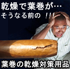 乾燥でシガーが…バナー