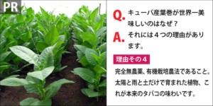 ［PR］Q.キューバ産葉巻が世界一美味しいのはなぜ？　A．それには４つの理由があります。　理由その4、完全無農薬、有機栽培農法であること。太陽と雨と土だけで育まれた植物、これが本来の植物の味わいです。