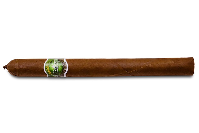 el_Bosque_Lancero_No2-a.jpg